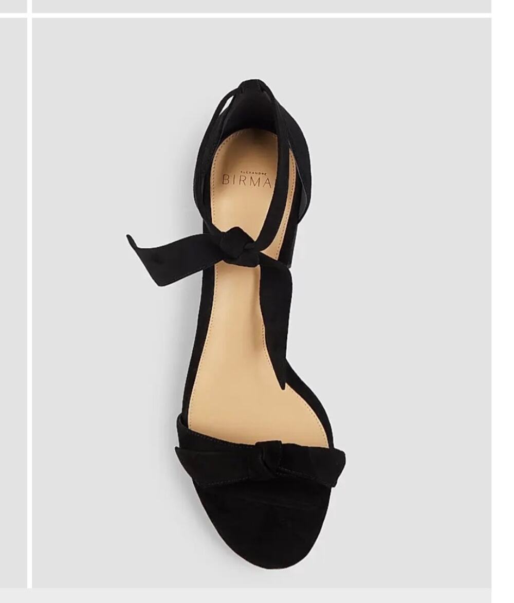 Alexandre Birman Clarita Block Heel suede sandals EU 40 10 tie ankle black $625